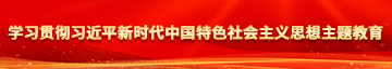 色透透透逼学习贯彻习近平新时代中国特色社会主义思想主题教育